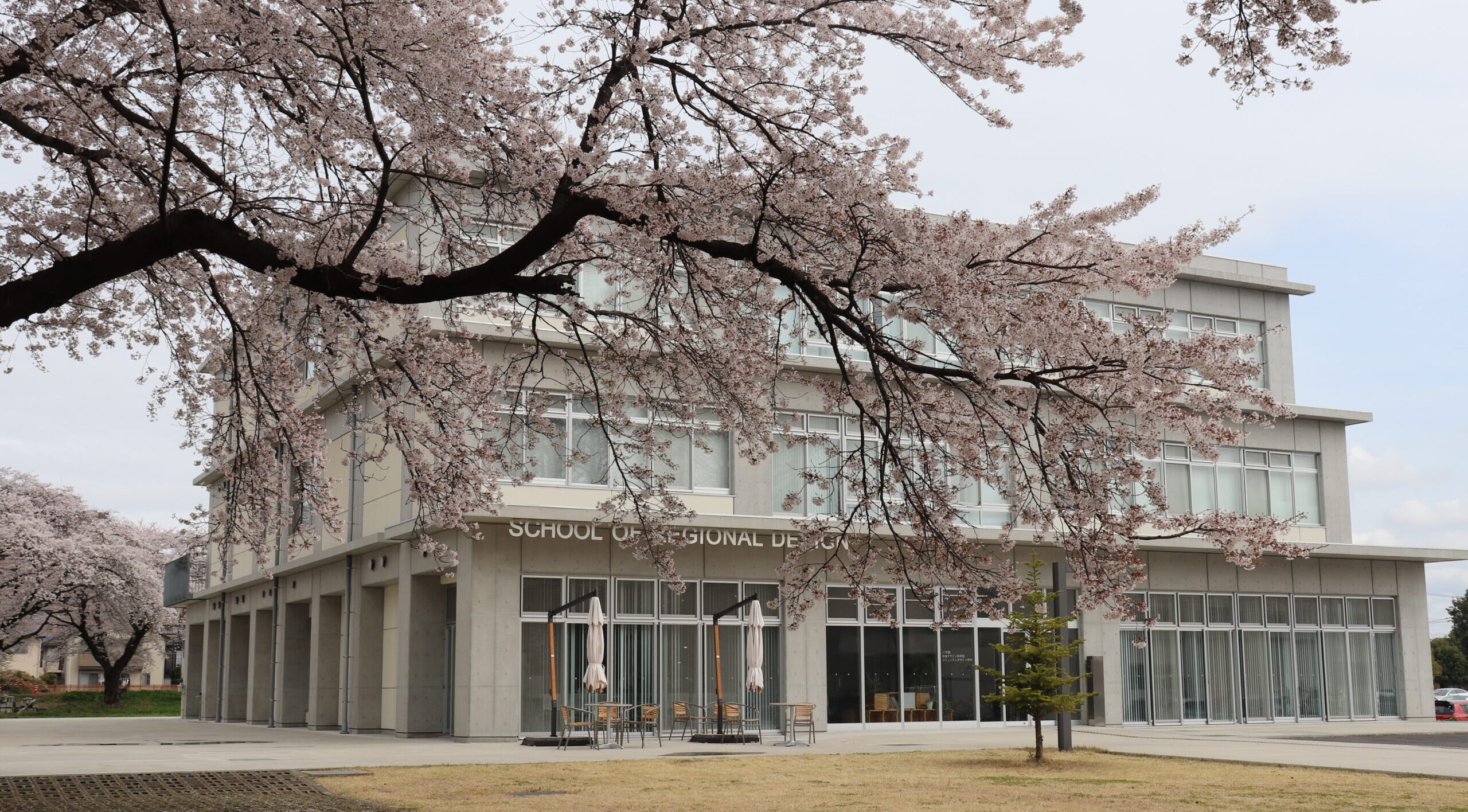 宇都宮大学でご研究をされている足名笙花さんにインタビューさせて